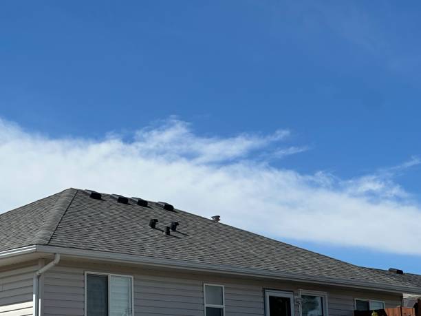 Best Asphalt Shingle Roofing  in Fremont, OH